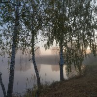 Туман на озере. :: Владимир Безбородов