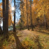 Осенняя тропа :: Vladimbormotov 