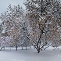 Панорама :: SanSan 