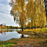 Осень на реке Вяз :: Oleg S 