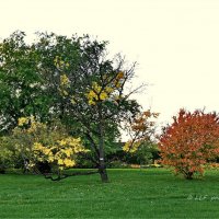Осенний пейзаж. :: Liudmila LLF