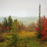 Осенью в горах :: Сергей Чиняев 