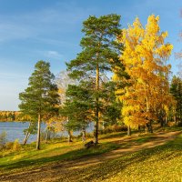 Золотая осень на озере Ижбулат :: Михаил Пименов
