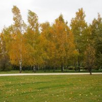 Осень в парке :: Ольга Довженко