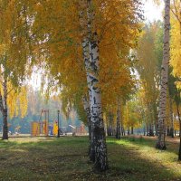 утро в городском парке :: Горкун Ольга Николаевна 