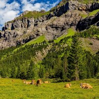 Kandersteg 18 :: Arturs Ancans