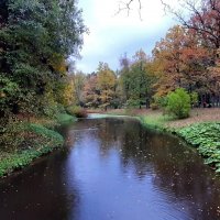 Павловский парк. Октябрь :: Наталья Герасимова