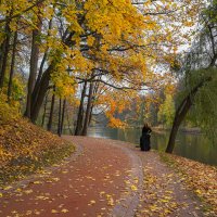 Люди в осени... :: Владимир Жданов