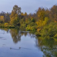 Утки на осенней реке :: Сергей Цветков