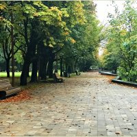 Осенний парк и лавочки. :: Валерия Комова
