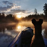Рассвет на лесной реке :: Сергей Мелехов