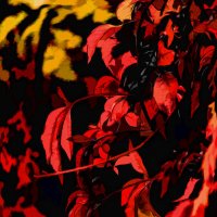 Красные листья :: Alexander Andronik