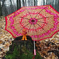 День разноцветных зонтов! :-) :: Андрей Заломленков