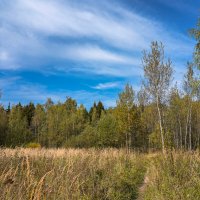 Под небом сентября... :: Владимир Жданов