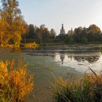 Подмосковные Пейзажи :: юрий поляков