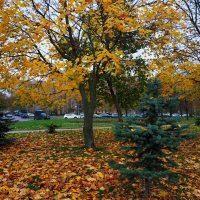 Зрелая осень в городе :: Андрей Лукьянов