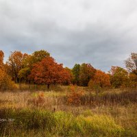 Осенний день :: Александр Синдерёв