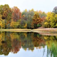 Осенний пейзаж на озере :: Ольга Митрофанова