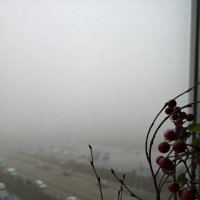 туман стучится в окно :: вика 