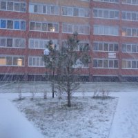 Вот такой у нас снежок сегодня! :: Андрей Макурин