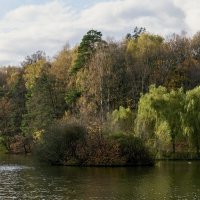 Осенью в парке :: Александр Запылёнов