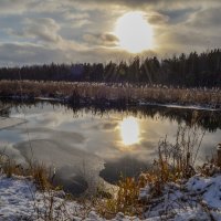 предзимье (первый снег) :: сергей 