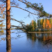 Осень в Карелии :: Николай Гренков