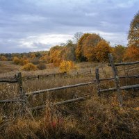 Сельский пейзаж. :: Анатолий 71 Зверев