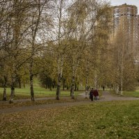 Осень жизни в осень года. :: Яков Реймер