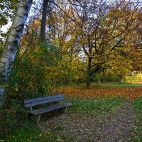 В том парке осень золотая Старинным золотом горит.... :: Galina Dzubina