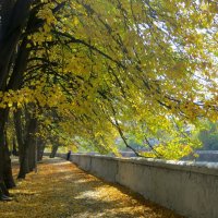 В старом парке царствовала осень, Красила деревья и кусты... :: Татьяна Львова 