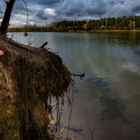 Притаившийся :: Владимир 