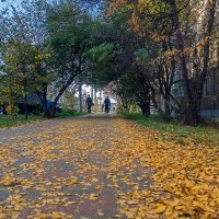 Осень в городе :: gribushko грибушко Николай