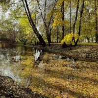 Екатерингоф. Октябрь :: Наталья Герасимова