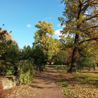 БОТАНИЧЕСКИЙ САД С-ПЕТЕРБУРГ :: Виктор Елисеев