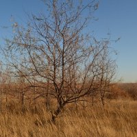 Вот и октябрь закончился... :: Георгиевич 