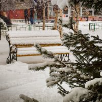 Снежное начало ноября... :: Оксана Галлямова