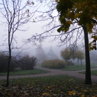 Осенний туман . :: Татьяна 