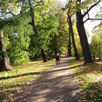 БОТАНИЧЕСКИЙ САД С-ПЕТЕРБУРГ :: Виктор Елисеев