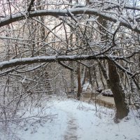 Арка :: Игорь Чуев