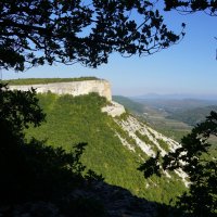 В рамке ветвей :: Наталия Григорьева