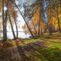 Осенний берег озера :: Vladimbormotov 