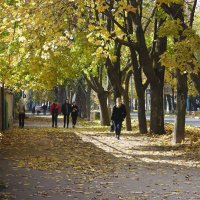 Осень шагает по улицам... :: barsuk lesnoi