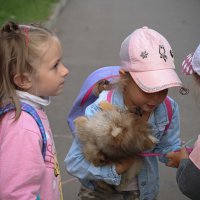 Если бы у меня была собака... :: Людмила Гулина