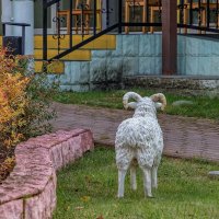 :- Я пришёл, а где ворота ? :: Анатолий. Chesnavik.