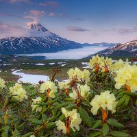 Цветы вулкана :: Денис Будьков