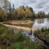 Осень :: Роман Грушевский