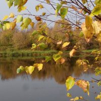 На реке октябрь :: Натала ***