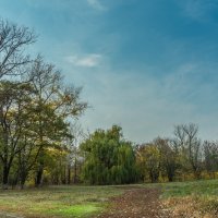 Осеннее разнообразие. :: Юрий ЛМ