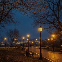 Пусто в парке ночном :: Сергей Шатохин 
